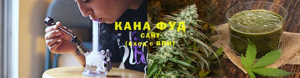 МДПВ Бородино
