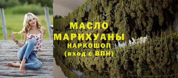 МДПВ Бородино