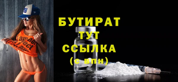 МДПВ Бородино