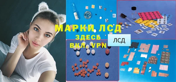 МДПВ Бородино